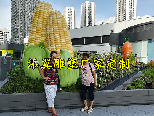 清风徐来玻璃钢玉米雕塑静静地躺在果实累累的玉米地里