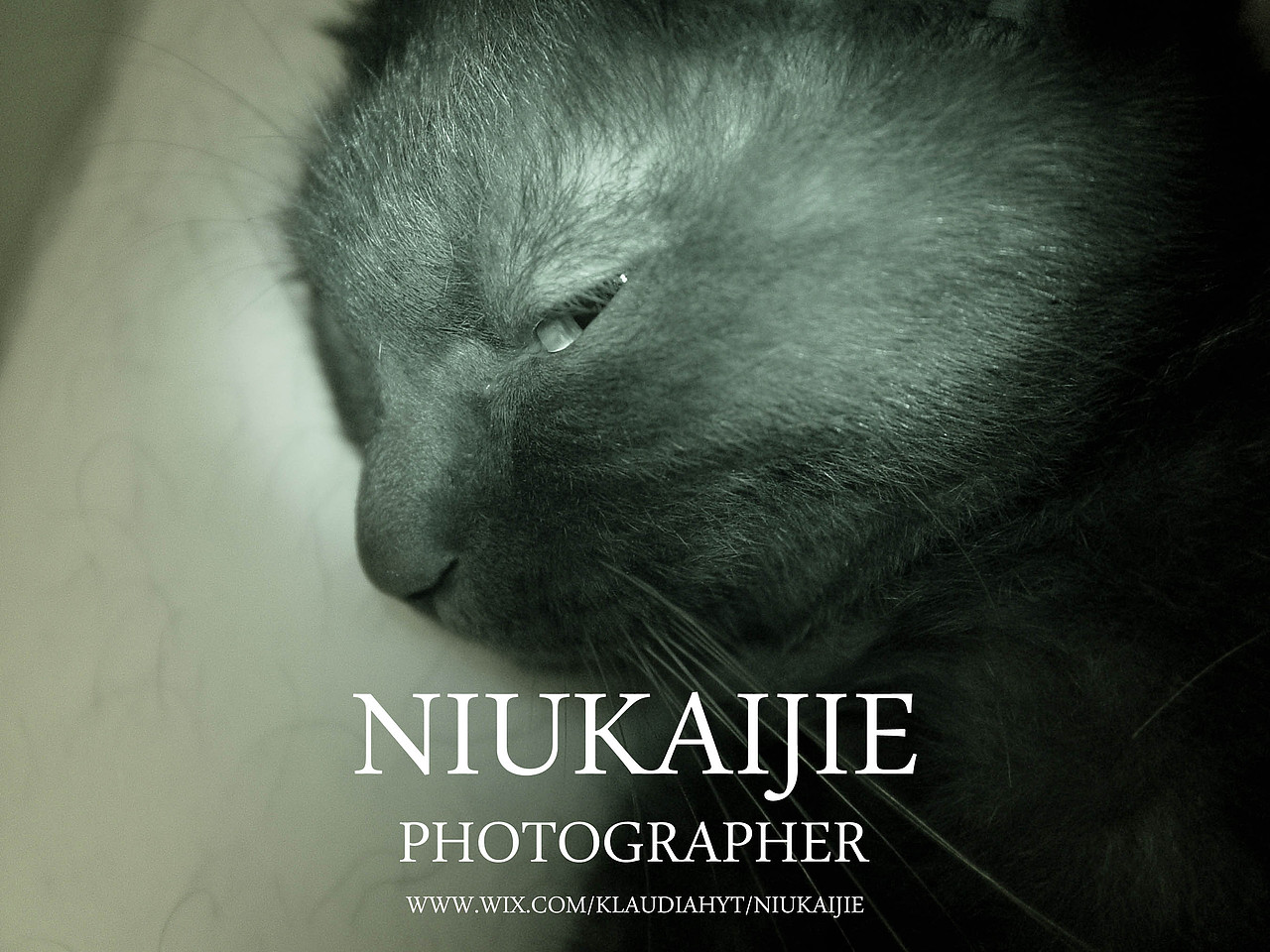 《出格儿》（图ZMzQ5NTQ0NA==） - 其他摄影 - 站酷设计师大个_儿原创素材 - 站酷ZCOOL