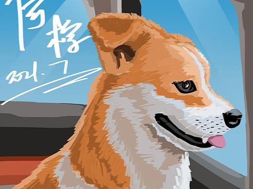 狗狗插画（个人主页-ZNTQwMjk4MjA=） - 创作习作 - 站酷设计师一条咸鱼鱼原创素材 - 站酷ZCOOL