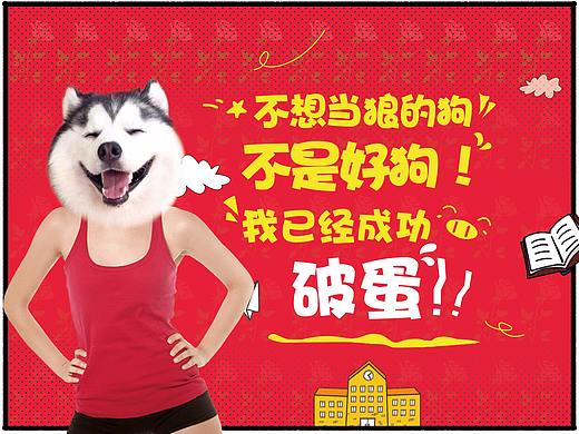 狗、狗年、红色、蓝色