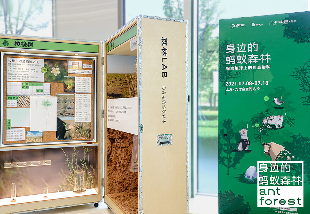 森林LAB 你身边的蚂蚁森林