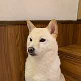 HTANG_M的头像