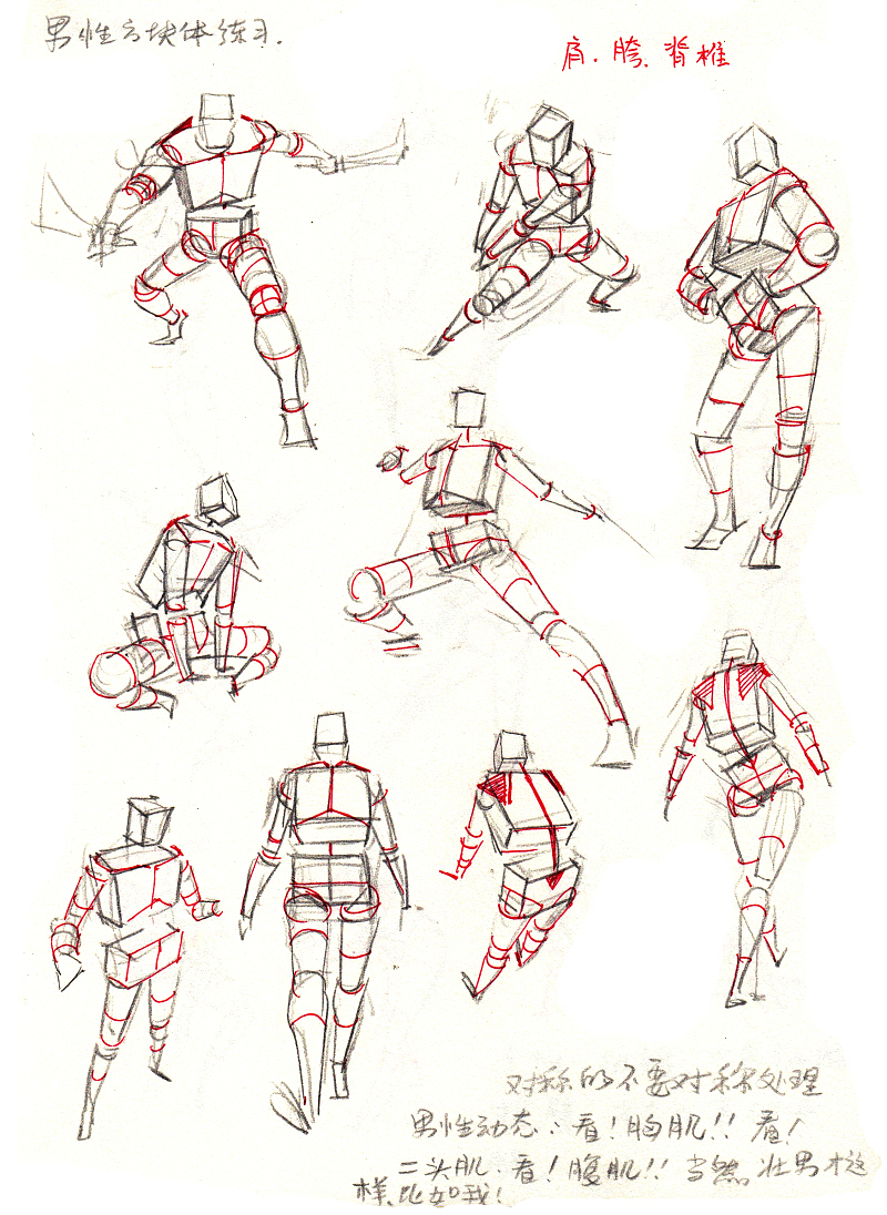 【干货】春哥制造:人体结构绘画药方系列(一)