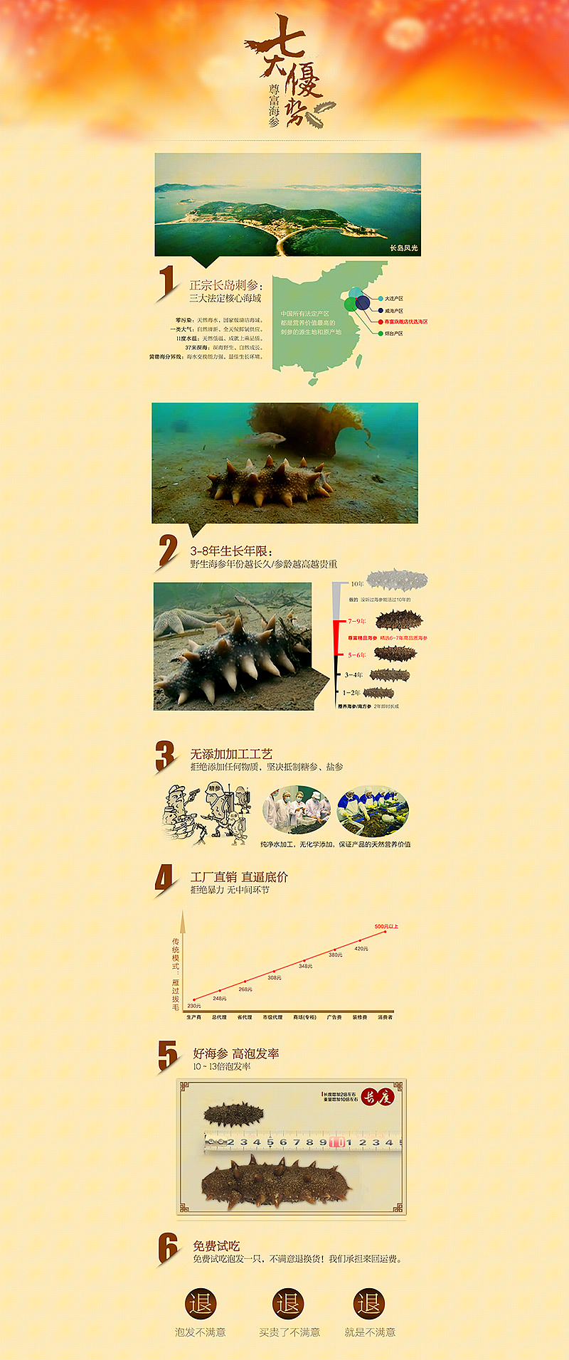 海参介绍（图ZMTg2MTM0MzI=） - 电商 - 站酷设计师小米与小麦原创素材 - 站酷ZCOOL