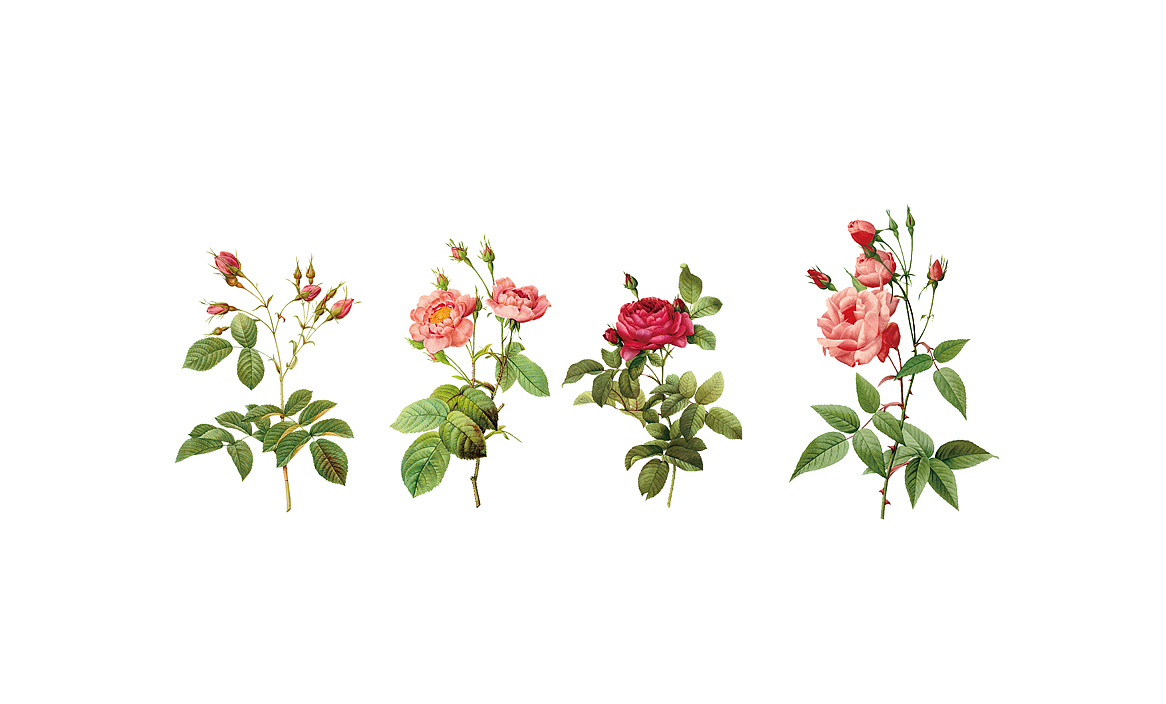 龙门宝山红茶包装设计