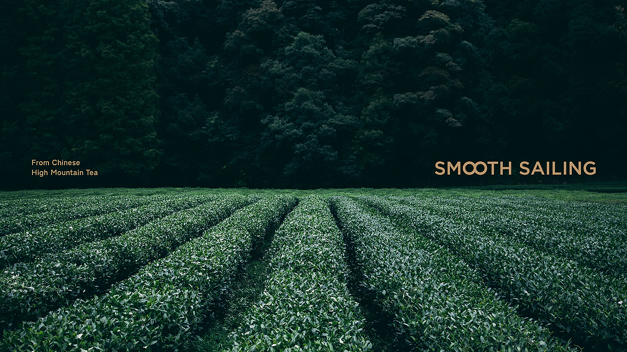 高雲茶 | 茶叶LOGO设计、茶叶VI设计、茶叶包装设计(图ZMjA5OTk3Njgw) - 品牌 - 站酷设计师同道包装设计原创素材 - 站酷ZCOOL