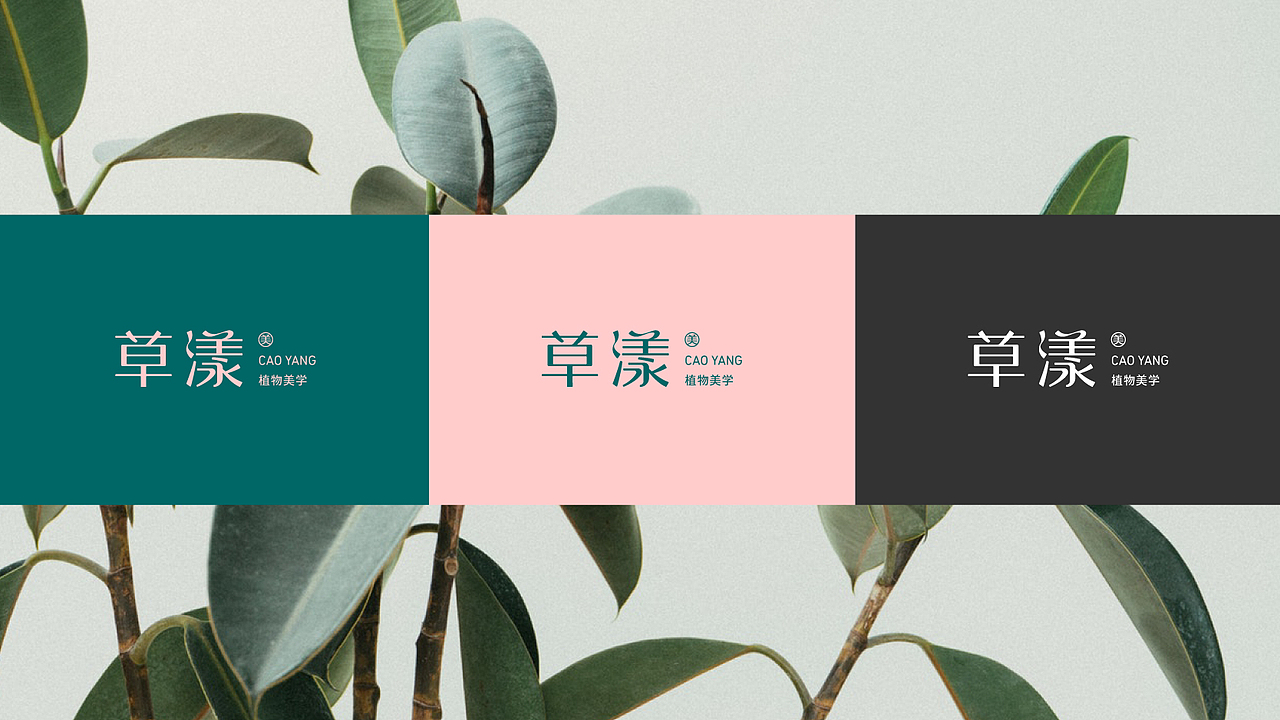 品牌提案ⅠCAOYANG草漾（图ZMTc0MTA5NzY4） - 品牌 - 站酷设计师_周不高兴原创素材 - 站酷ZCOOL