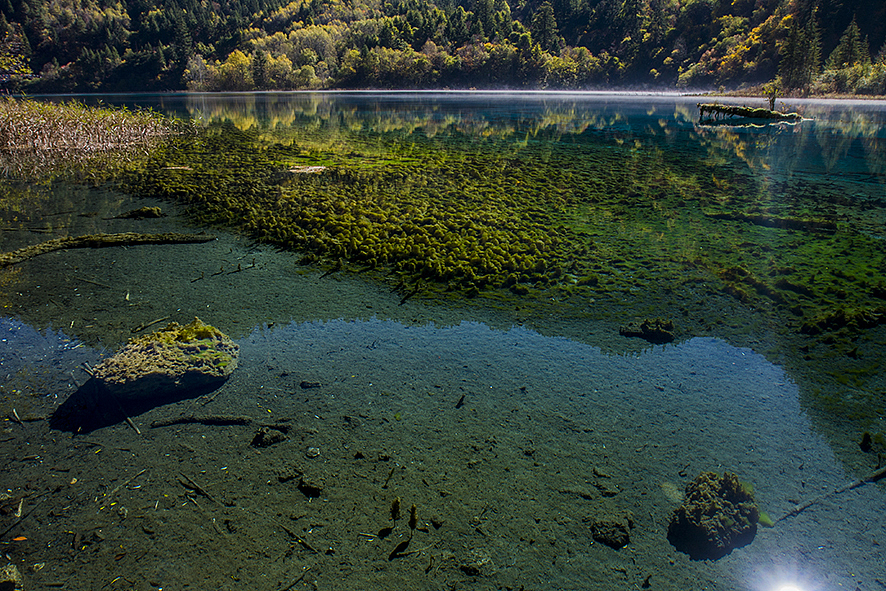 2014·10九寨沟（图ZMjA5NDc4ODA=） - 风光摄影 - 站酷设计师RyanShao原创素材 - 站酷ZCOOL