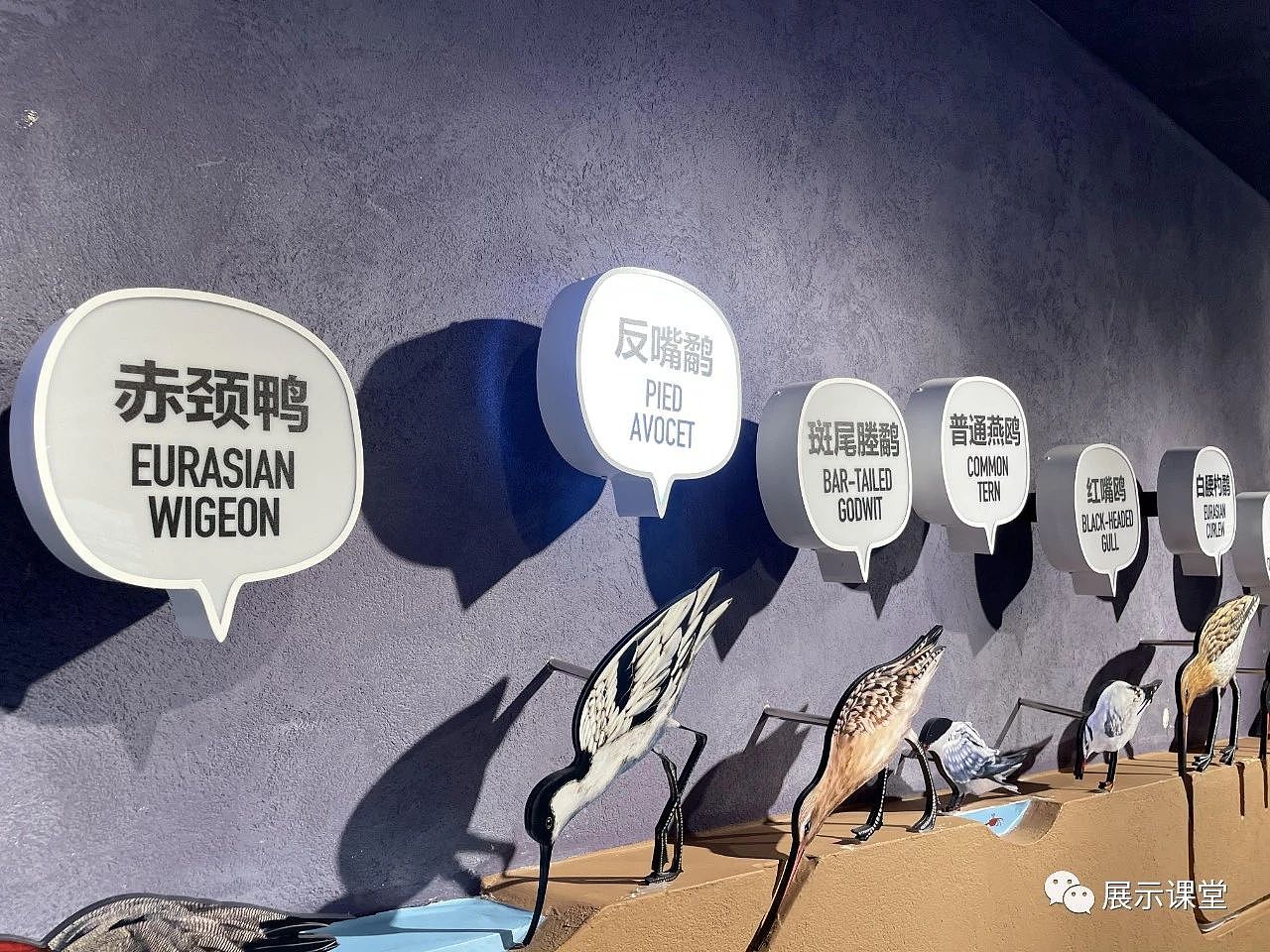 展厅设计/展馆/ 以“内容”为核心的生态科普展馆（图ZMjg2NDE1NzYw） - 展陈设计 - 站酷设计师展示课堂原创素材 - 站酷ZCOOL