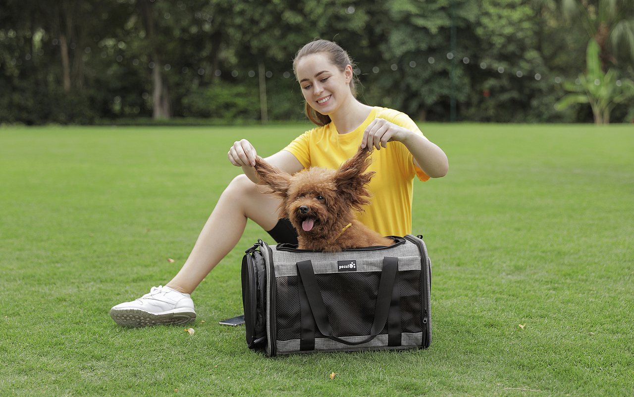 宠物用品外模拍摄（图ZMjUzNDQzMjg4） - 产品摄影 - 站酷设计师Damon陈原创素材 - 站酷ZCOOL