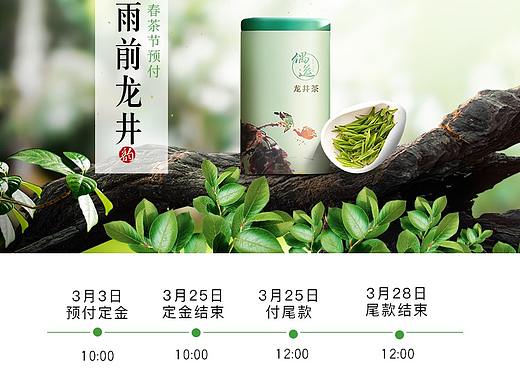 春茶入口图