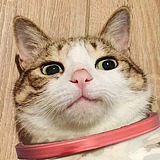 百里西西子的头像