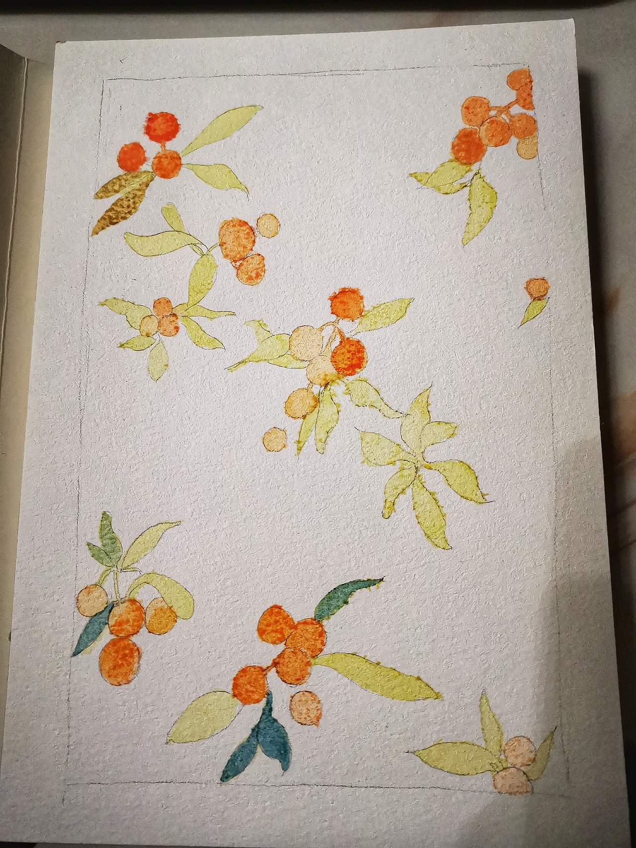 今日份水彩练习