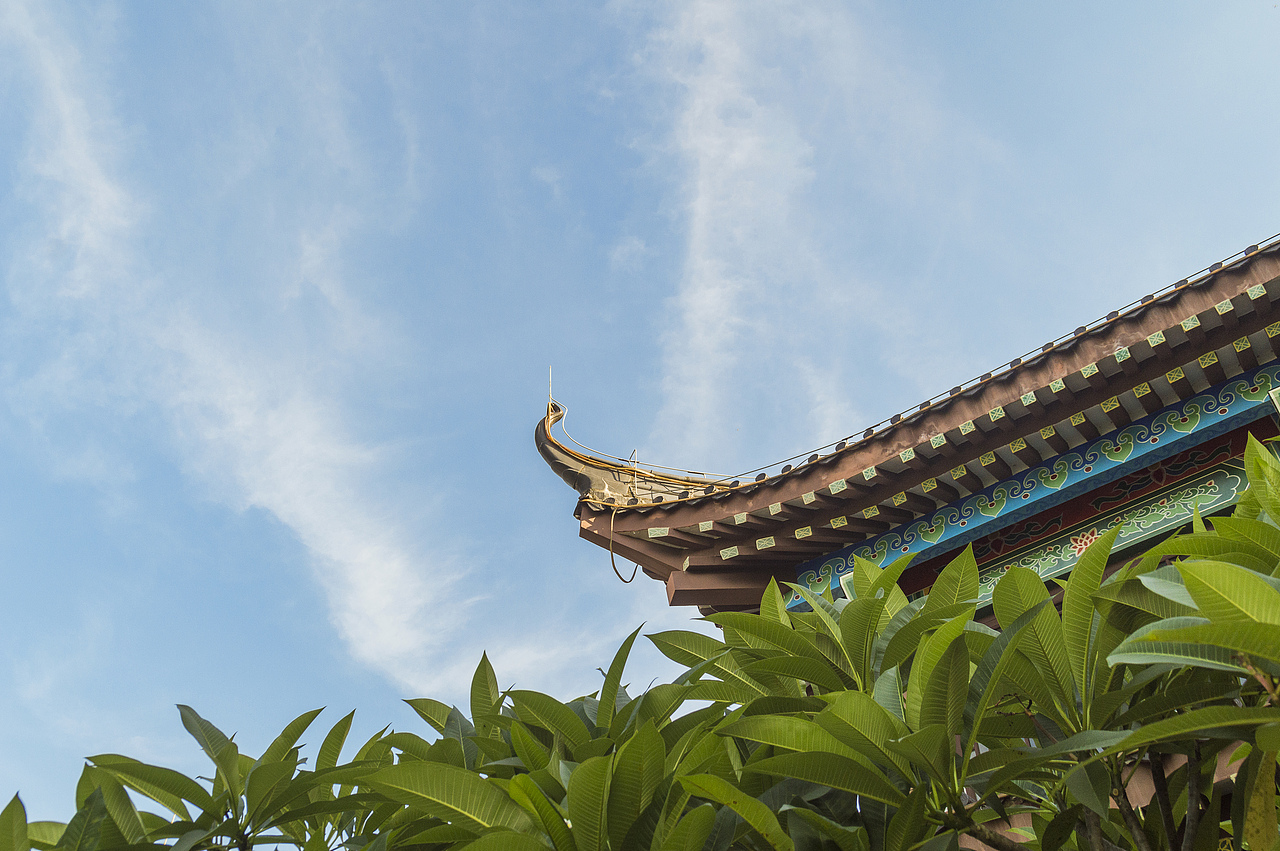 随拍日记（一）（图ZMjI4NzU4NjAw） - 风光摄影 - 站酷设计师萧萧易水丶原创素材 - 站酷ZCOOL