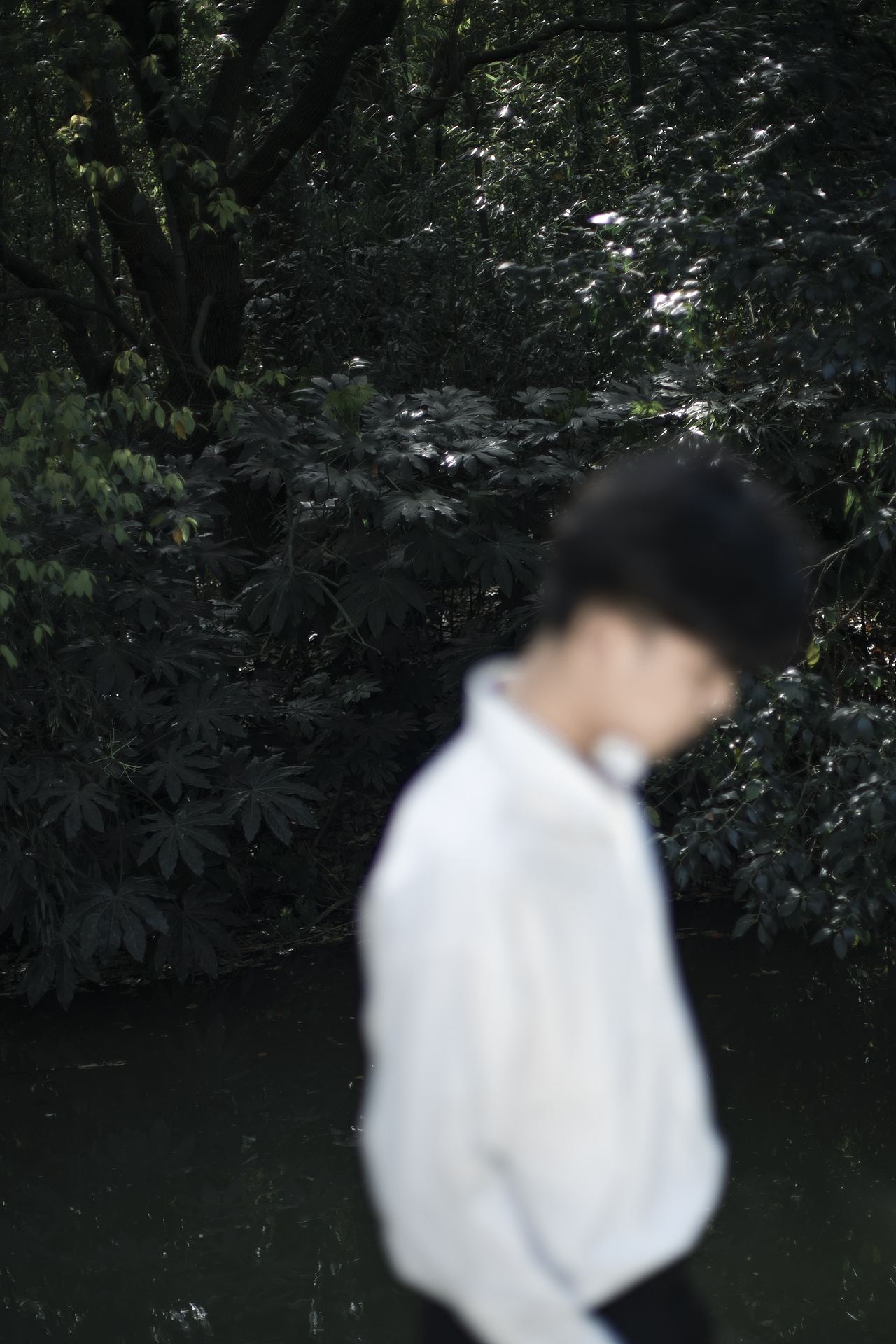 【尘曦  •  嚷嚷】