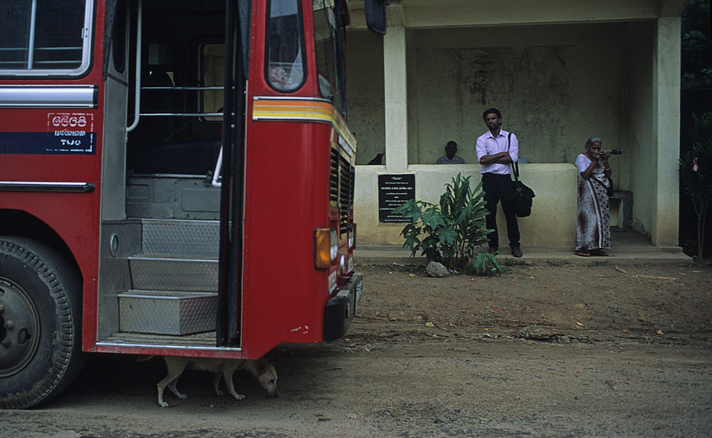 微笑的印度洋眼泪(胶片游记)
