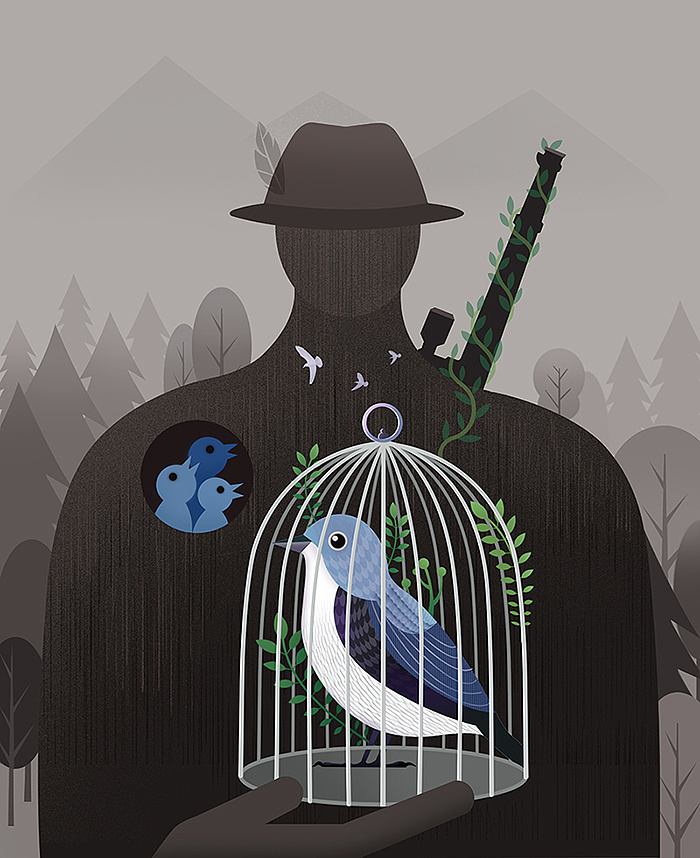 动物保护之鸟类|插画|商业插画|d雄_ - 原创作品 - 站酷 (zcool)