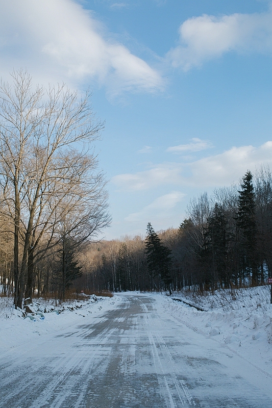 山林食纪之初月壁纸