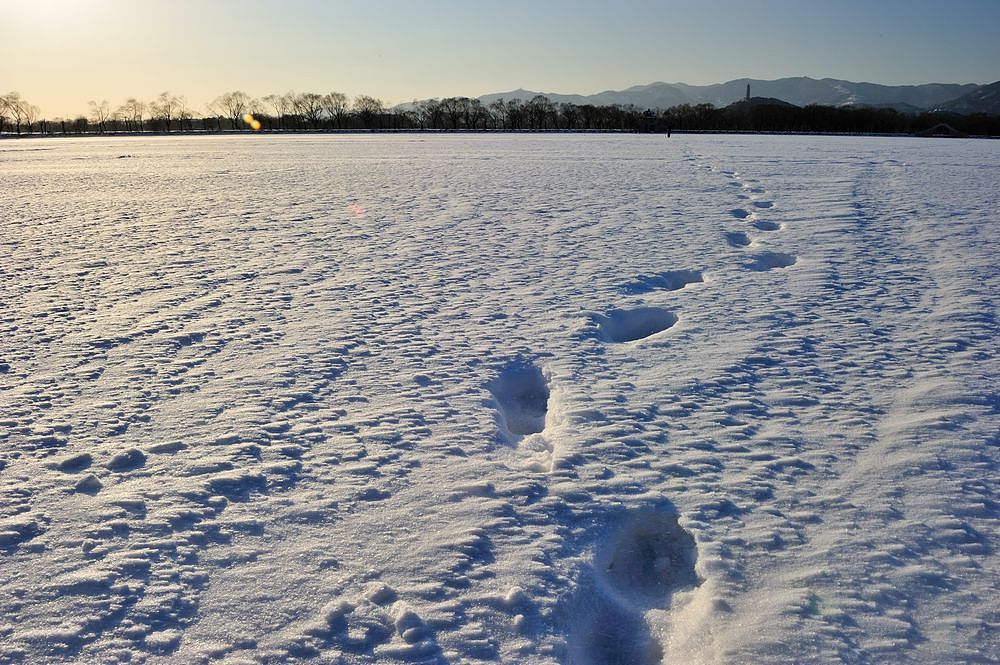 颐和园.雪