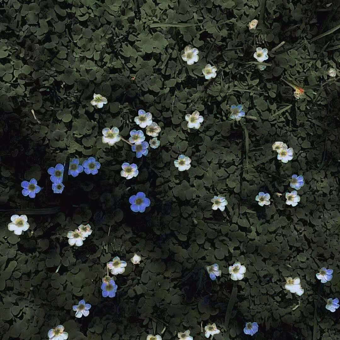 田思浓的个人主页（背景预览） - 主页背景设置 - 站酷设计师田思浓原创素材 - 站酷ZCOOL