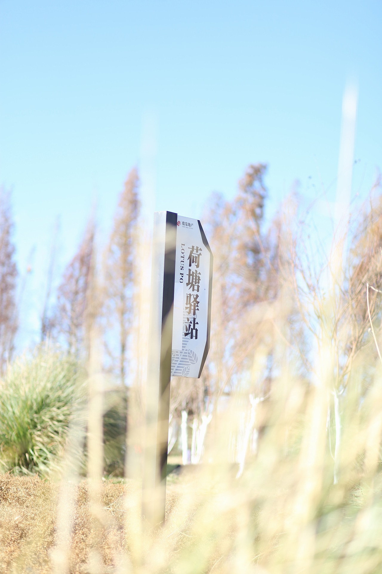 那个风:leaves: 那个云☁ 那些我的女朋友