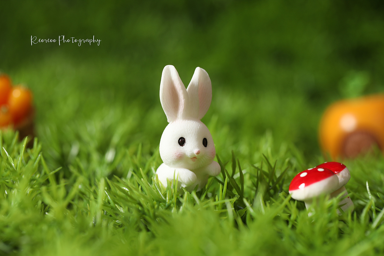 静物摄影 潮玩摄影 摆件摄影 玩具摄影 产品摄影 电商