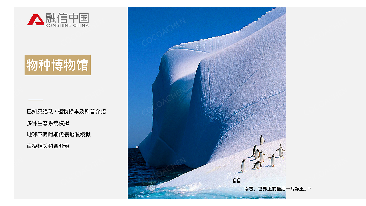 地产开发全案：融信 · 南极海上城【创新大赛作品】（图ZMjg3NDQzMzE2） - 文案/策划 - 站酷设计师COCOACHEN陈可爱原创素材 - 站酷ZCOOL