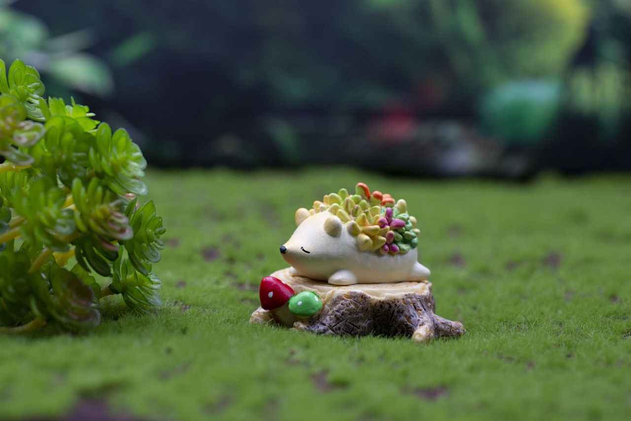 静物摄影 产品摄影 淘宝产品摄影 亚马逊产品摄影 潮玩（图ZMjA2MzU1ODEy） - 产品摄影 - 站酷设计师REOREOO原创素材 - 站酷ZCOOL