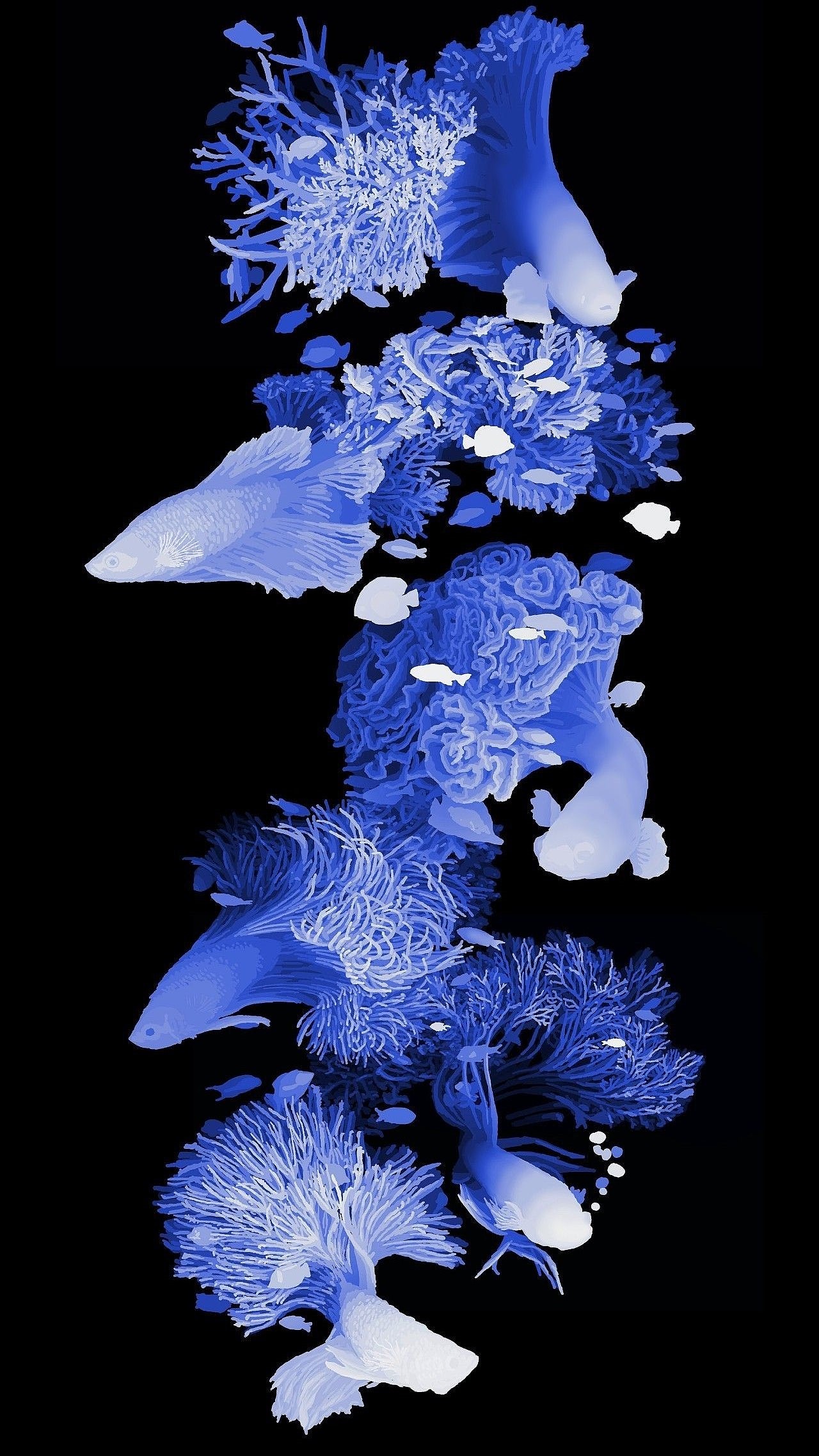 裸眼3d的深度图