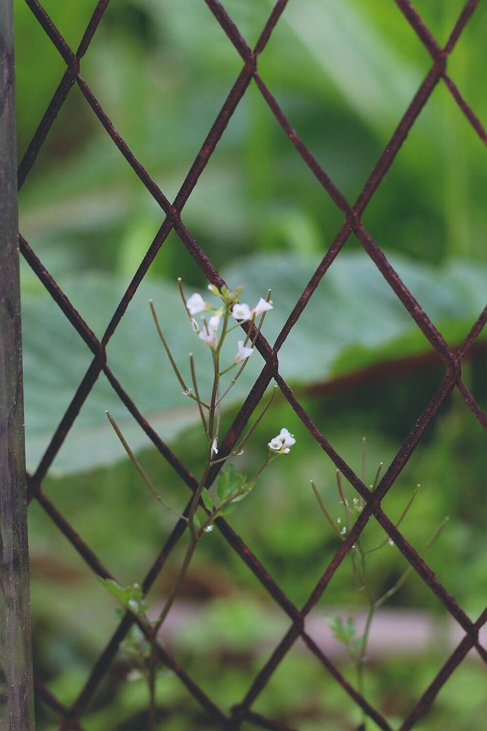摄影（图ZMTk5NTQ0NDgw） - 风光摄影 - 站酷设计师方尽一原创素材 - 站酷ZCOOL