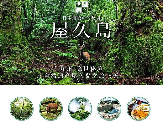 日本屋久岛 旅游电商OTA包装 详情页 长图