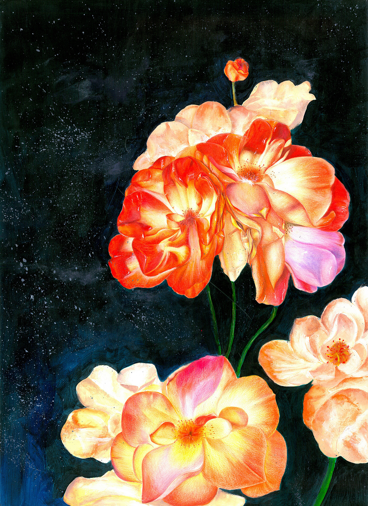 2020广州美术学院毕业作品"手绘花卉插画"