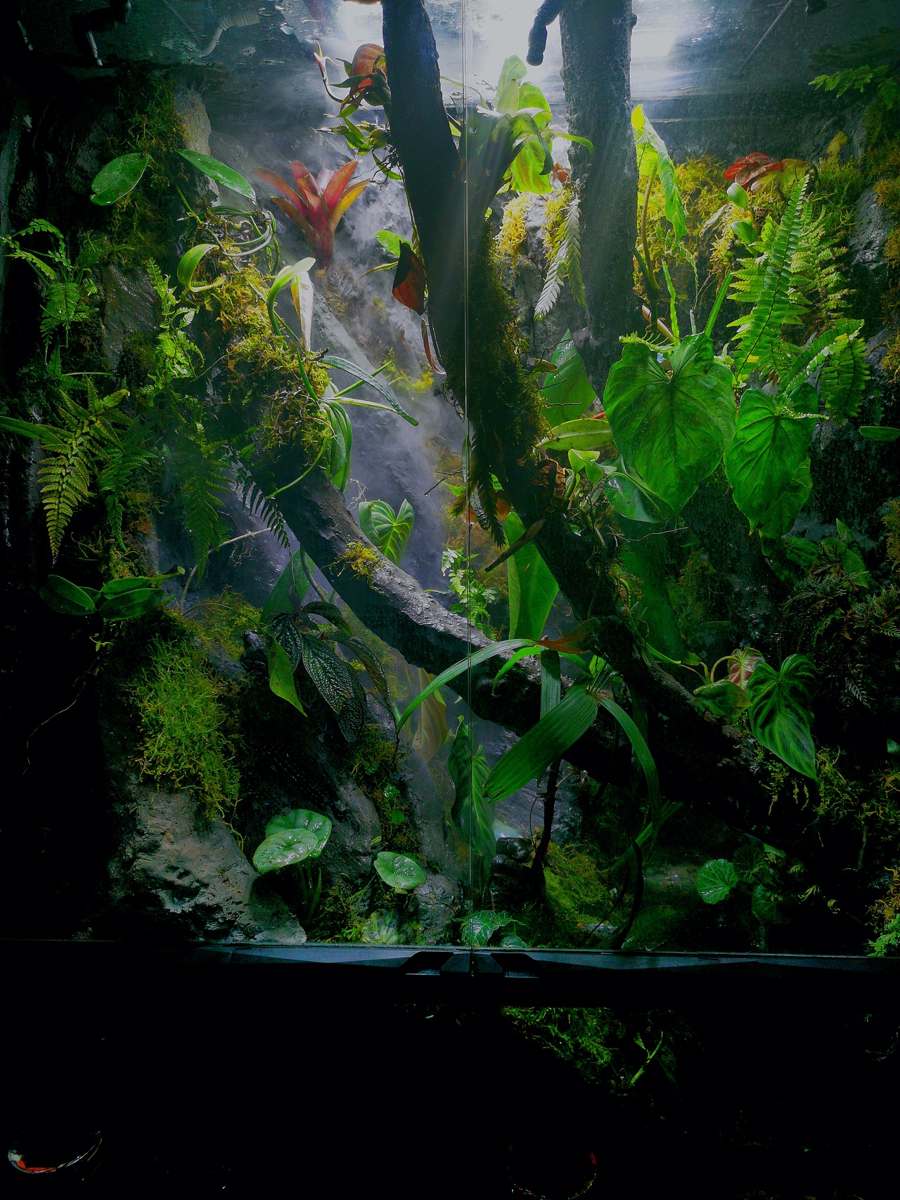 水泥雕塑,雨林缸造景