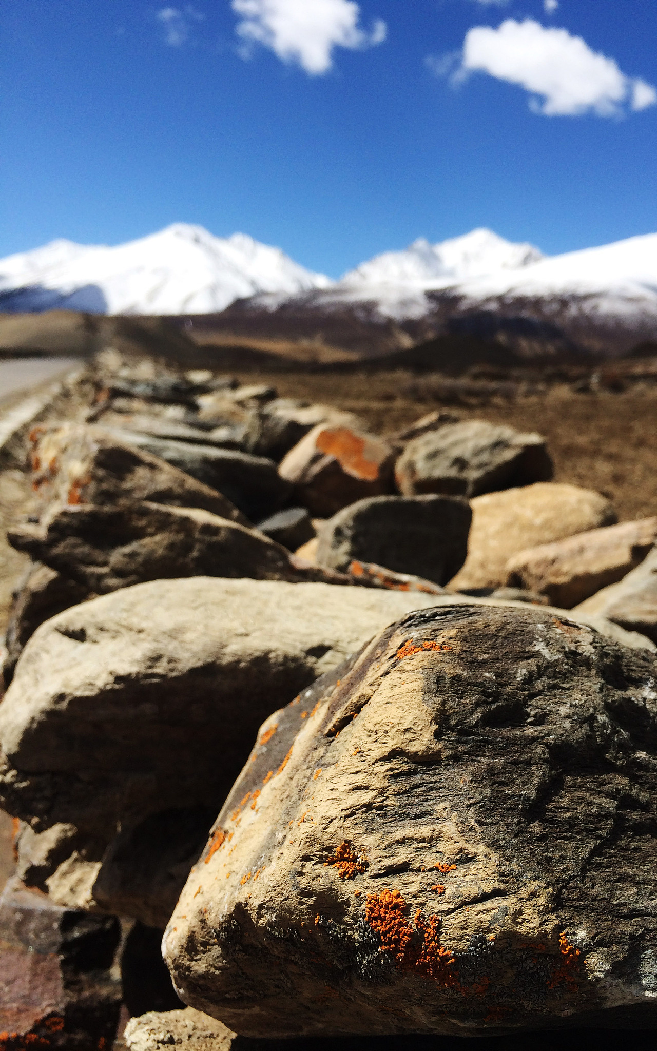 好喜欢这得大石头,一点不寂寞!
