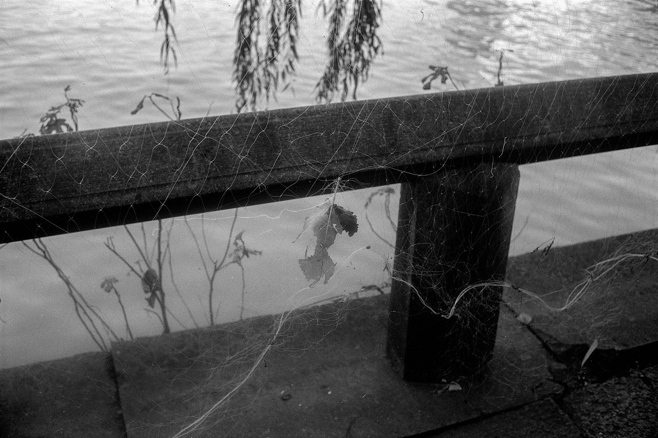 静物 | 兀然之然