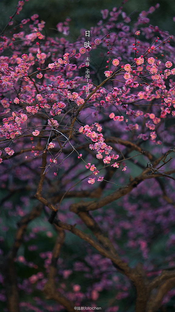 十二时辰，诗意中国。（图ZMjM1ODI5NDAw） - 风光摄影 - 站酷设计师陈帆fotochen原创素材 - 站酷ZCOOL