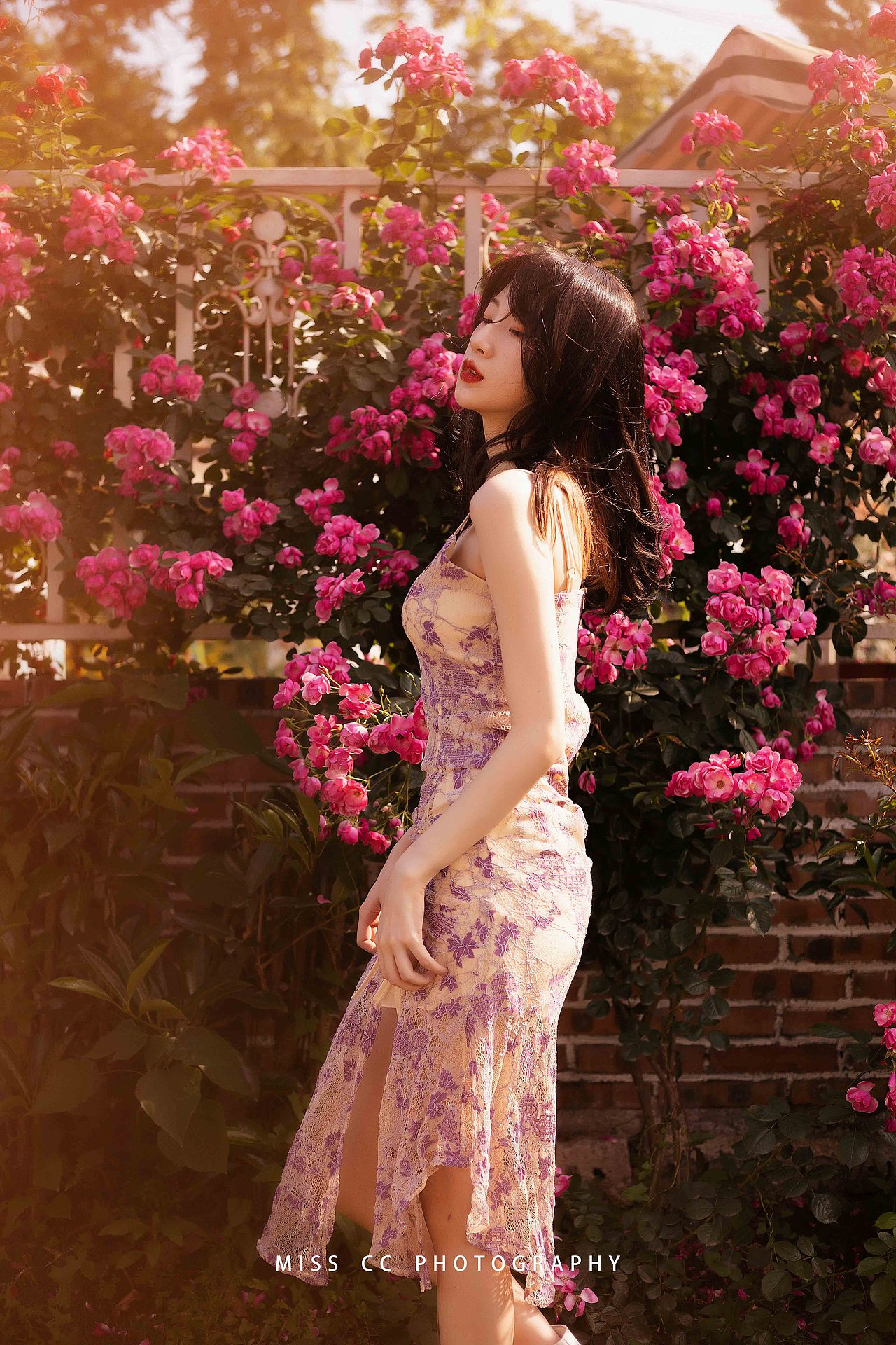 我是你独一无二的玫瑰（图ZMjUzNTA3MzA4） - 人像摄影 - 站酷设计师CC小姐呀原创素材 - 站酷ZCOOL