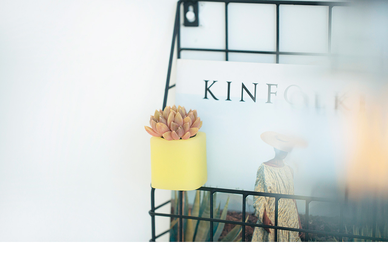 三款INS风家居无土栽培多肉植物-产品摄影（图ZMTMzNTk2Njg4） - 产品摄影 - 站酷设计师Pazza大安原创素材 - 站酷ZCOOL