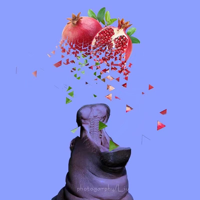 静物摄影（图ZMTIyOTc3MTAw） - 产品摄影 - 站酷设计师樱老桃原创素材 - 站酷ZCOOL