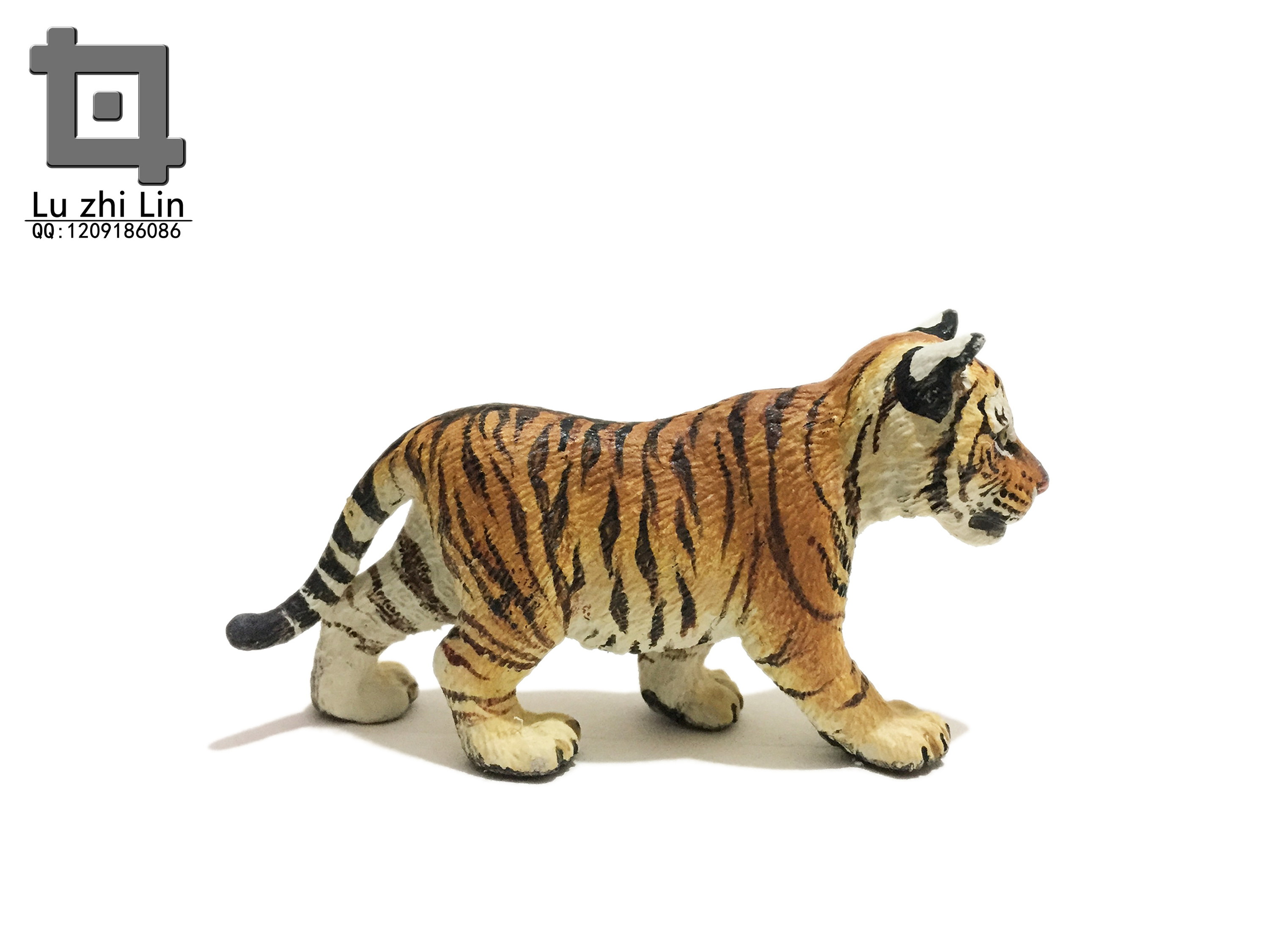 动物模型 老虎展示