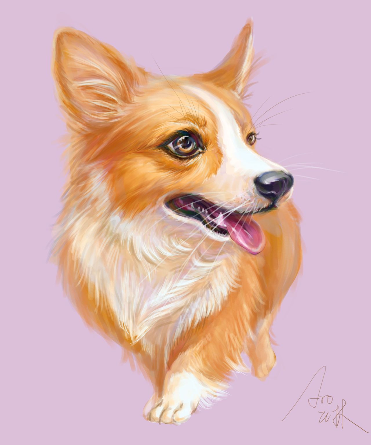 《板绘宠物练习》