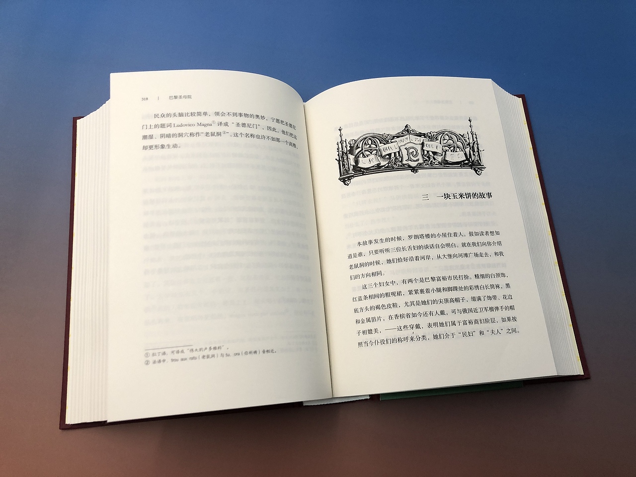 拍书:世界十大文学名著之一《巴黎圣母院》