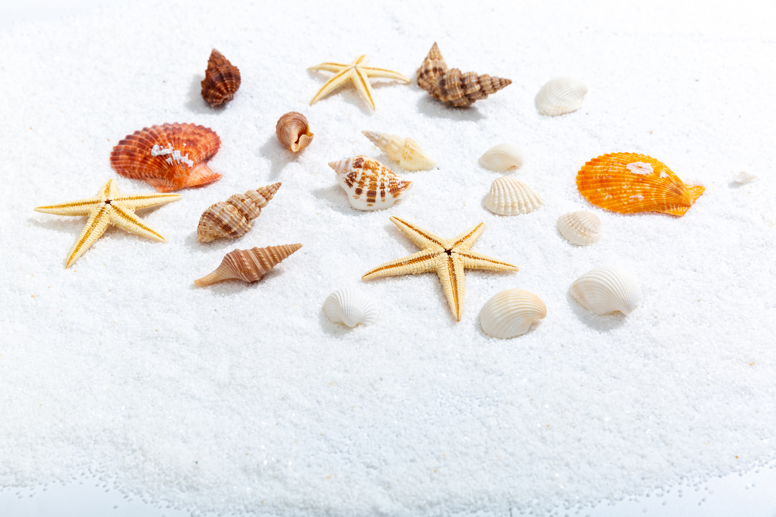 ins风拍照道具 美甲饰品拍照贝壳海星 海洋摄影小道具