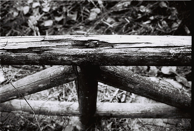 一场实验，一次探索，一次发现（图ZMjc1MDc2MDg=） - 其他摄影 - 站酷设计师lan178原创素材 - 站酷ZCOOL