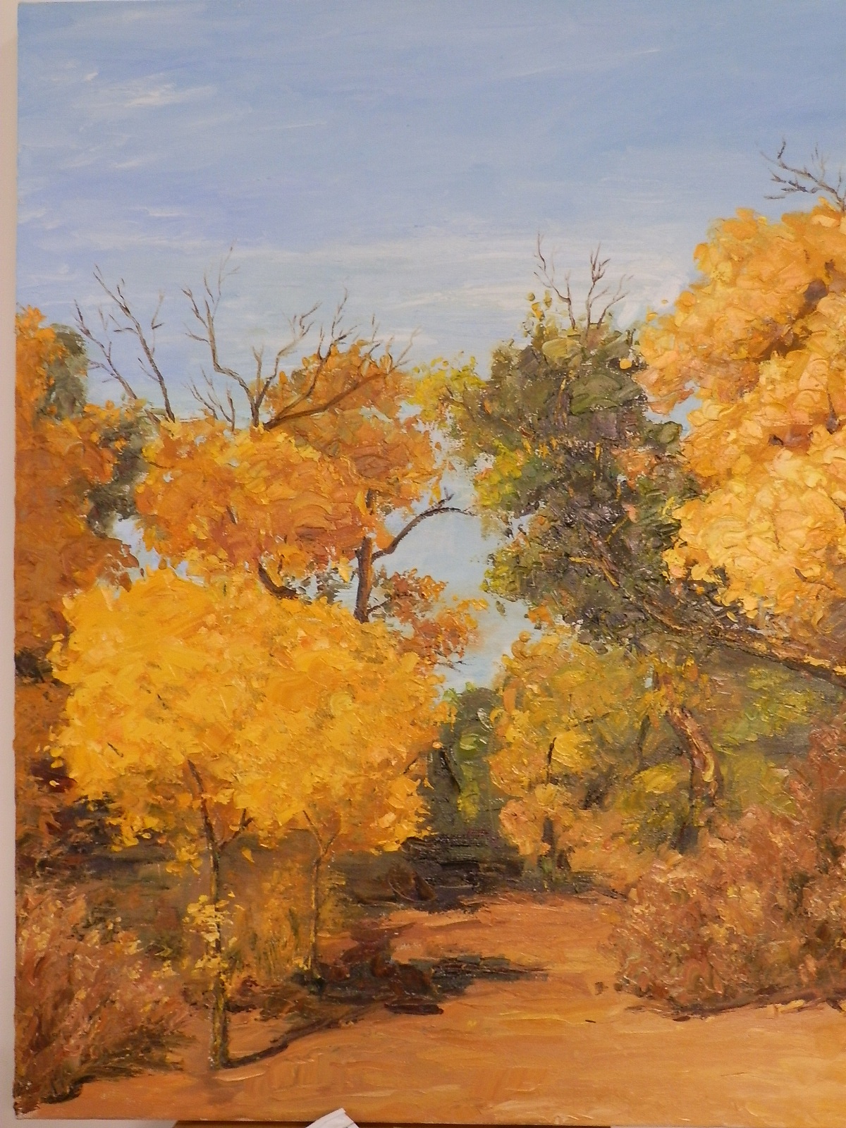 胡杨|插画|商业插画|娜儿的猫 - 原创作品 - 站酷 (zcool)