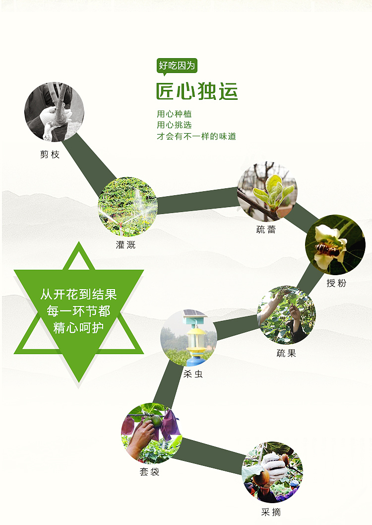 详情页设计改版（图ZNzI1NjgwNjg=） - 电商 - 站酷设计师SugarNO1原创素材 - 站酷ZCOOL