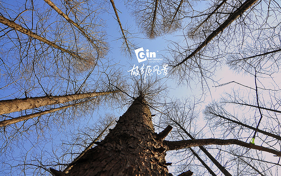 拍照 | 故乡原风景、