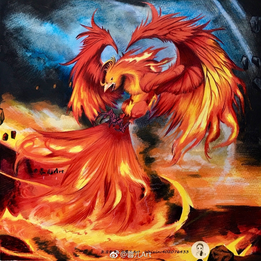 火凤凰彩铅作品