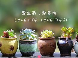 首页