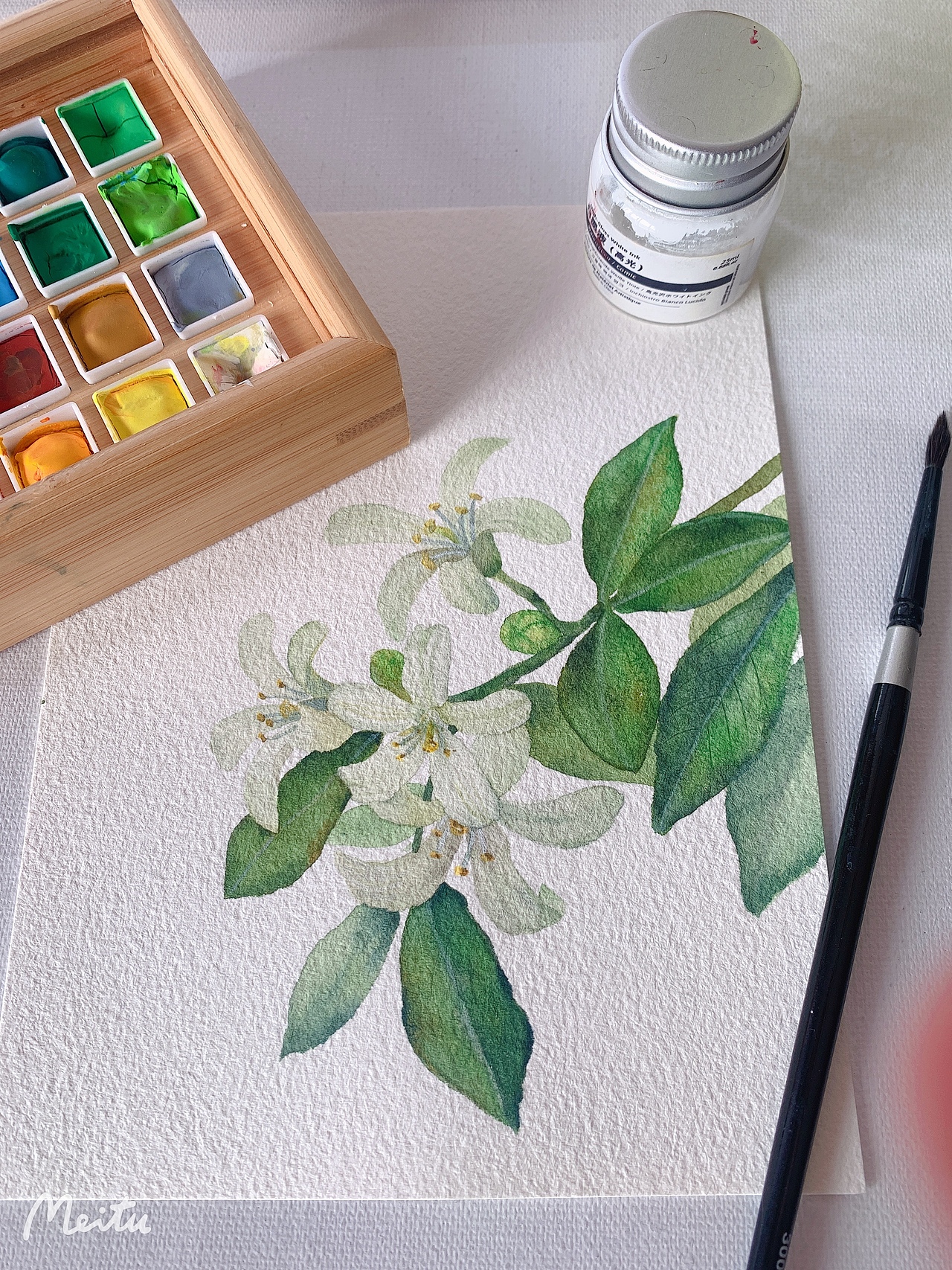 水彩七里香（圖ZMjk0MDY4NDE2） - 商業(yè)插畫 - 站酷設(shè)計(jì)師小閑插畫原創(chuàng)素材 - 站酷ZCOOL